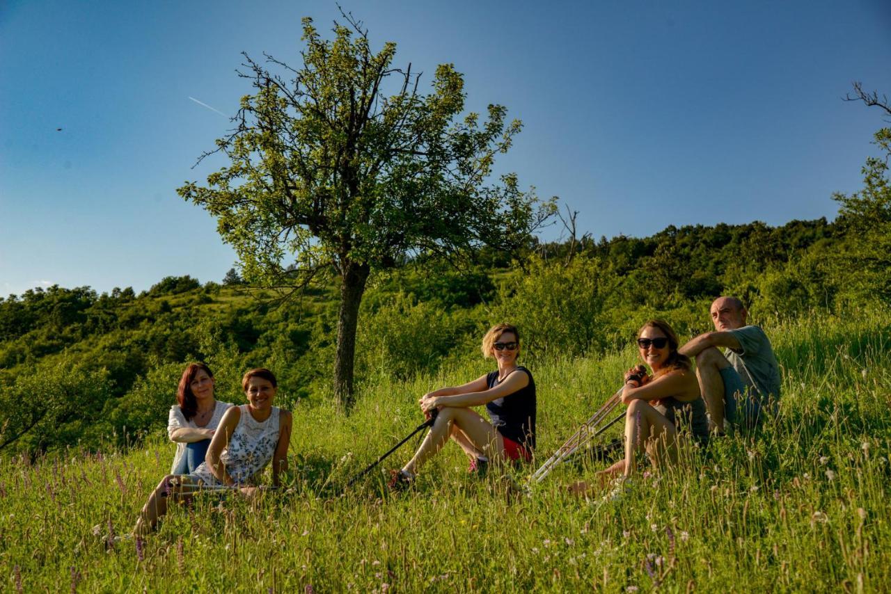 Hotel Pronay-Kastely Alsopeteny Zewnętrze zdjęcie